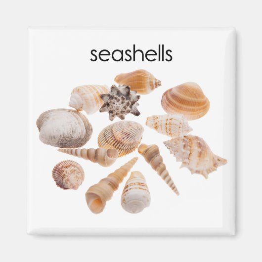 Aimant du réfrigérateur des coquillages (Devant)