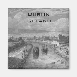 Aimant Dublin de pont de Blaquiere, canal royal, Irlande