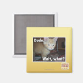 Aimant Dude (Recto/Verso)