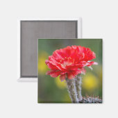 Aimant Duet de feu (Recto/Verso)