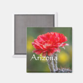 Aimant Duet de Firelight fleur de cactus, Arizona (Recto/Verso)