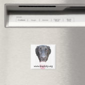 Aimant Duke Head, www.dogduty.org (In Situ (Lave-vaisselle))