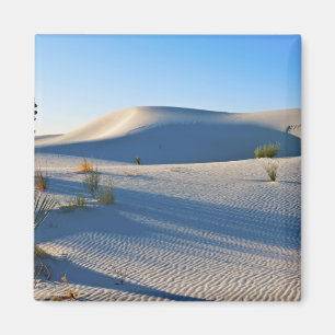 Aimant Dunes transversales, Yucca, Lumière du matin