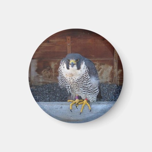 Aimant d'unité (Devant)