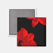 Aimant duo amaryllis rouge (Recto/Verso)