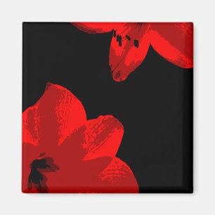 Aimant duo amaryllis rouge