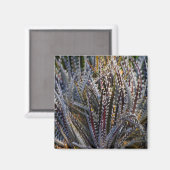 Aimant Dyckia délice (Recto/Verso)