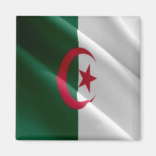 Aimant DZ - Algérie - Drapeau