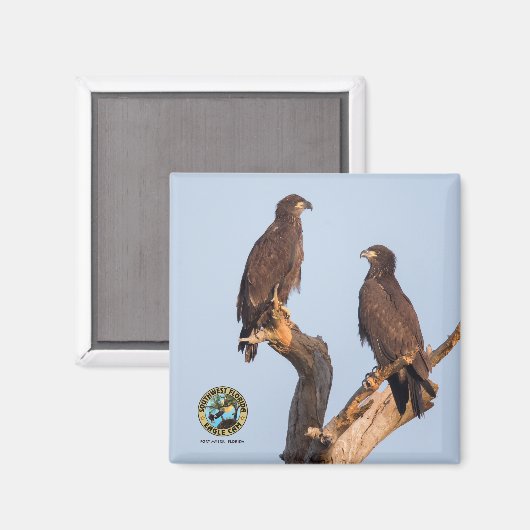 Aimant E12 et E13 (Recto/Verso)