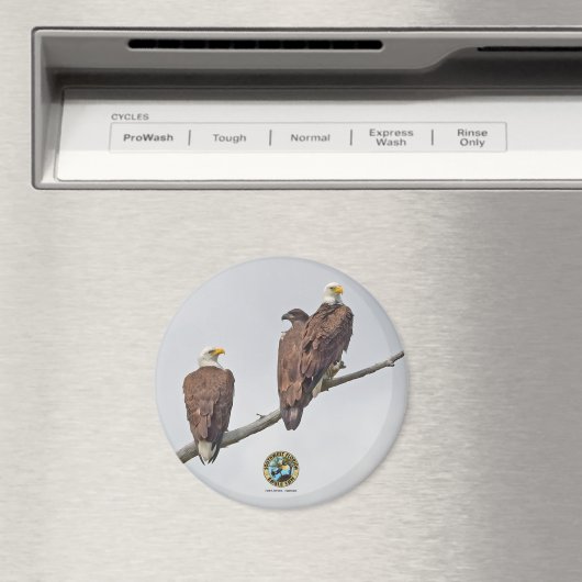 Aimant E23 & Famille - M15, F23 et premier Eaglet (In Situ (Lave-vaisselle))