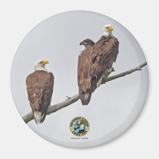 Aimant E23 & Famille - M15, F23 et premier Eaglet (Devant)