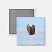Aimant Eagle (Recto/Verso)