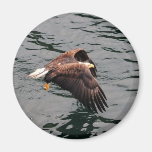 Aimant Eagle volant avec des ailes