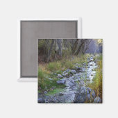 Aimant East Fork/Hayfork creek...... (Recto/Verso)