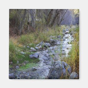 Aimant East Fork/Hayfork creek......