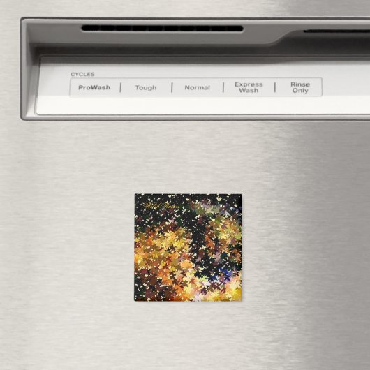 AIMANT EAU (In Situ (Lave-vaisselle))