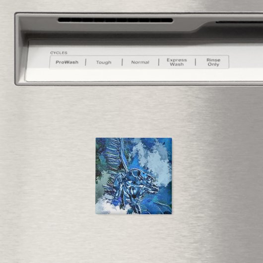 AIMANT EAU (In Situ (Lave-vaisselle))