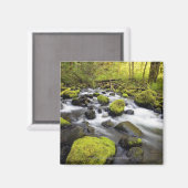 Aimant Eau Fluant Par La Mousse Couvert Les Roches Dans U (Recto/Verso)