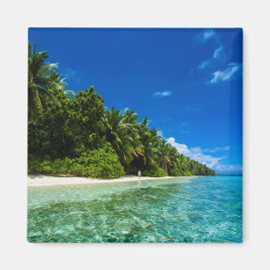 Aimant Eaux bleues d'une plage tropicale