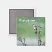 Aimant Écart (Recto/Verso)