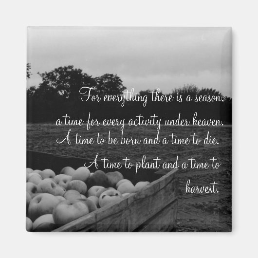 Aimant Ecclésiaste 3:2 (Devant)