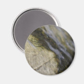 Aimant Éclipse (Recto/Verso)