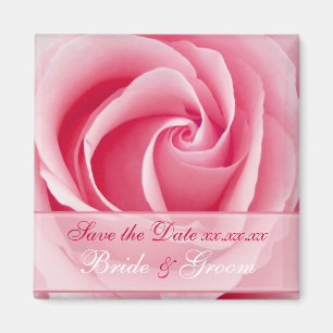 Aimant Économies de Madame rose rose l'aimant de date