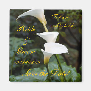 Aimant Économies de zantedeschia la date !