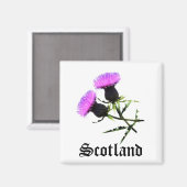 Aimant Ecosse, chardon (Recto/Verso)