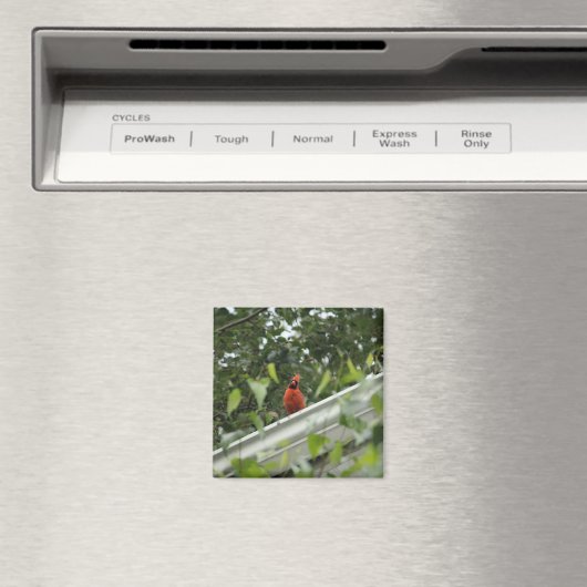 Aimant Écouter le cardinal (In Situ (Lave-vaisselle))