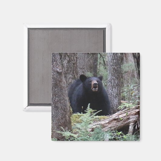 Aimant Écoutez-moi (Recto/Verso)