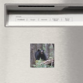 Aimant Écoutez-moi (In Situ (Lave-vaisselle))