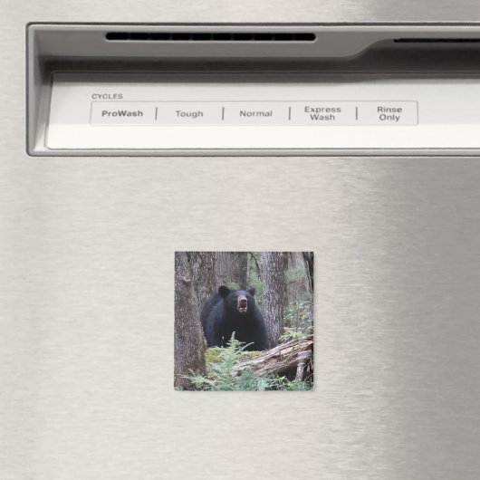 Aimant Écoutez-moi (In Situ (Lave-vaisselle))