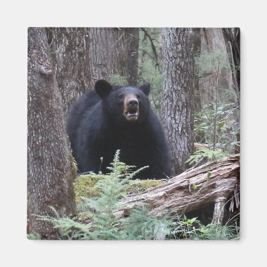 Aimant Écoutez-moi (Devant)