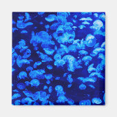 Aimant Écran de méduse (Devant)