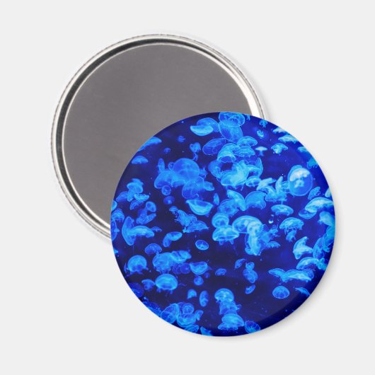 Aimant Écran de méduse (Recto/Verso)