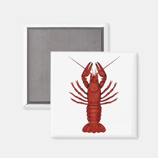 Aimant Écrepoisson (Recto/Verso)