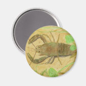 Aimant Écrepoisson (Recto/Verso)