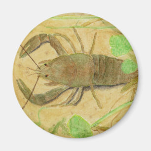 Aimant Écrepoisson