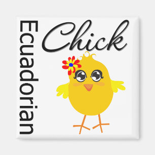 Aimant Ecuadorian Chick
