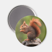 Aimant Écureuil (Recto/Verso)
