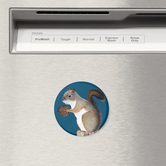 Aimant Écureuil (In Situ (Lave-vaisselle))