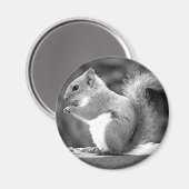 Aimant Écureuil (Recto/Verso)