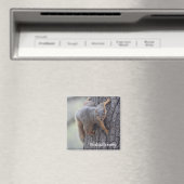 Aimant Écureuil (In Situ (Lave-vaisselle))