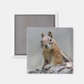 Aimant écureuil (Recto/Verso)