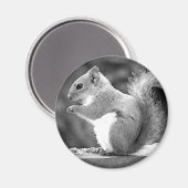 Aimant Écureuil (Recto/Verso)