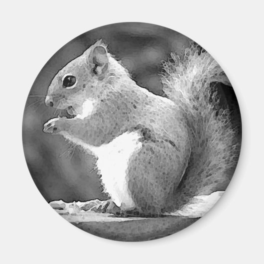 Aimant Écureuil (Devant)