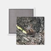 Aimant Écureuil (Recto/Verso)