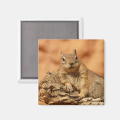 Aimant Écureuil au sol (Recto/Verso)