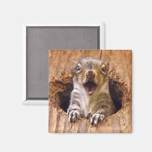 Aimant Écureuil choqué (Recto/Verso)